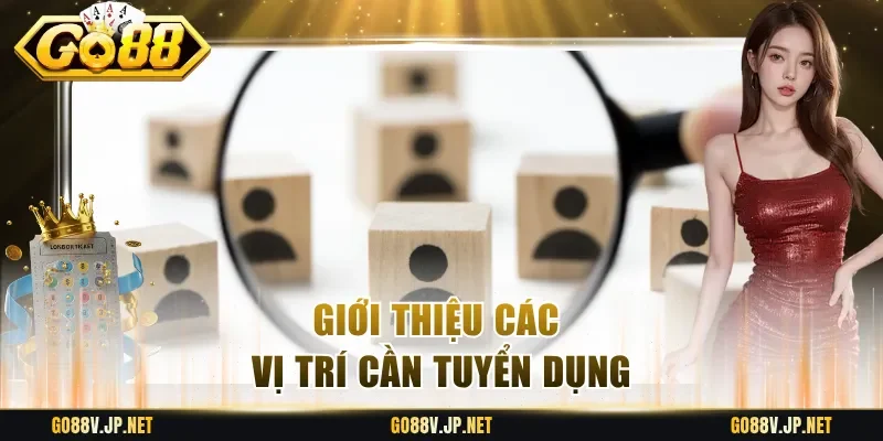 Giới thiệu các vị trí cần tuyển dụng