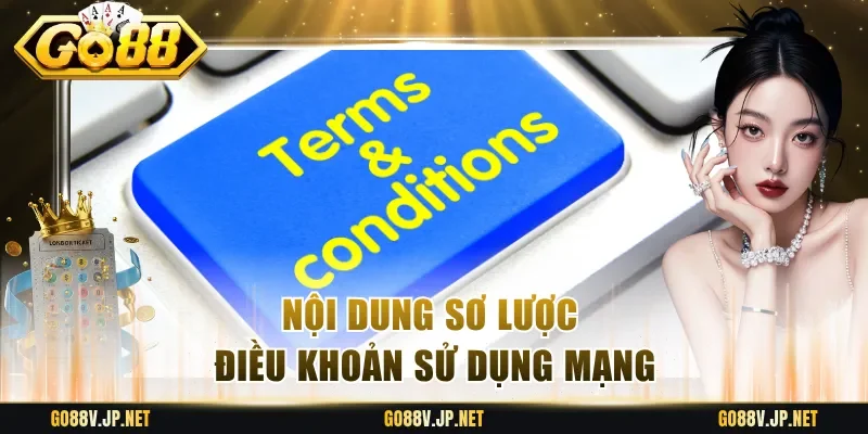 Nội dung sơ lược điều khoản sử dụng mạng