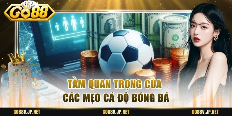 Tầm quan trọng của các mẹo cá độ bóng đá