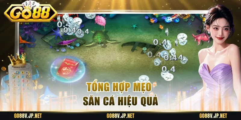 Tổng hợp mẹo săn cá hiệu quả